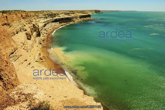 : Peninsula Valdes - cliffs and seascape : Peninsula Valdes - cliffs and seascape