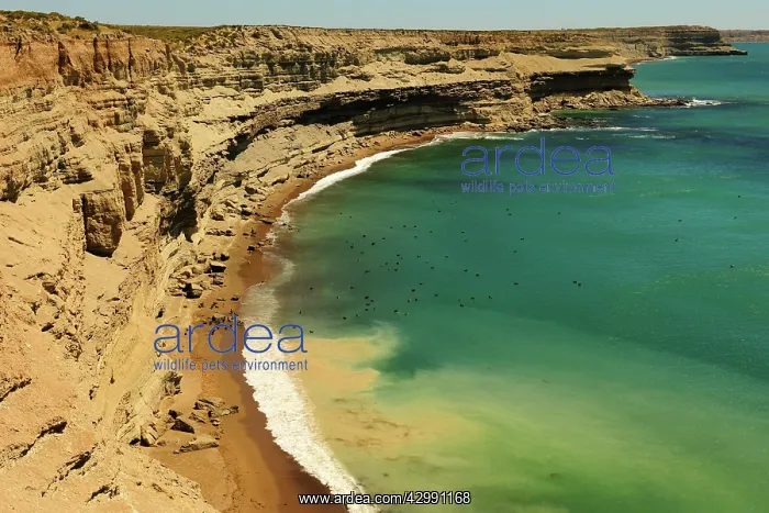 : Peninsula Valdes - cliffs and seascape : Peninsula Valdes - cliffs and seascape