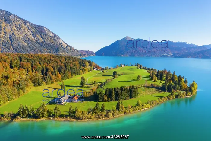 : Peninsula Zwergern, Lake Walchensee, behind Jochberg : Peninsula Zwergern, Lake Walchensee, behind Jochberg