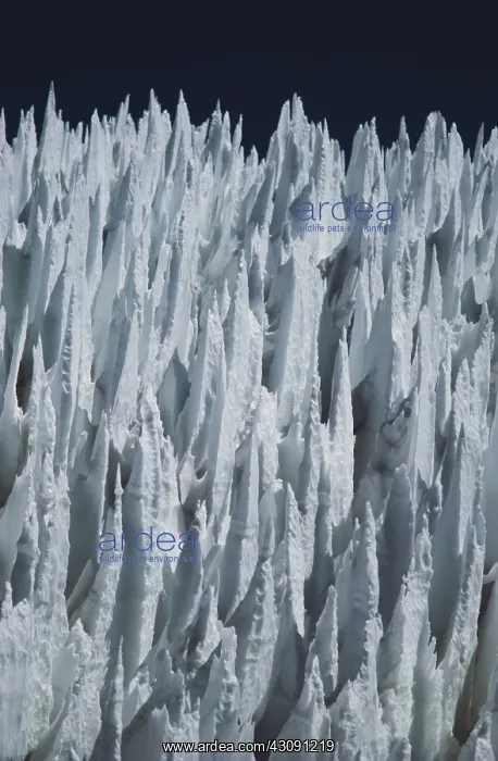 : Penitentes : Penitentes