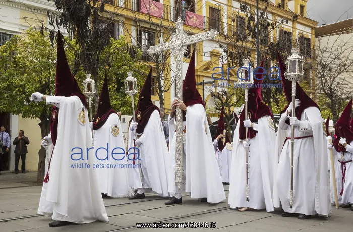 : Penitents at the Semana Santa (Holy Week) of : Penitents at the Semana Santa (Holy Week) of