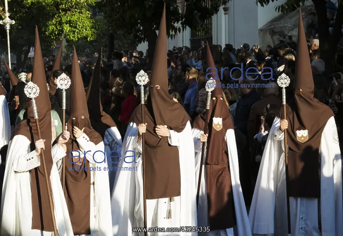 : Penitents at the Semana Santa (Holy Week) of : Penitents at the Semana Santa (Holy Week) of