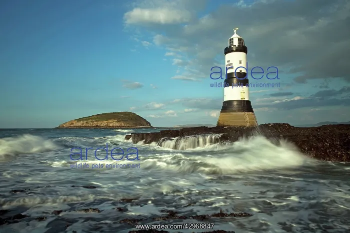 : Penmon lighthouse and Puffin Island - August : Penmon lighthouse and Puffin Island - August