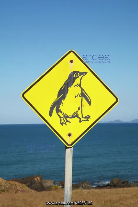  : Penquin Warning Sign, Stanley, Northwest
