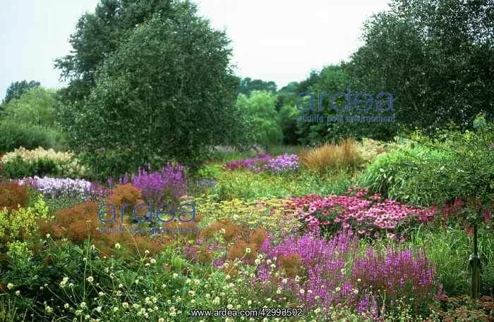: Pensthorpe gardens : Pensthorpe gardens