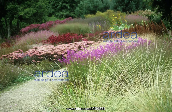 : Pensthorpe gardens : Pensthorpe gardens