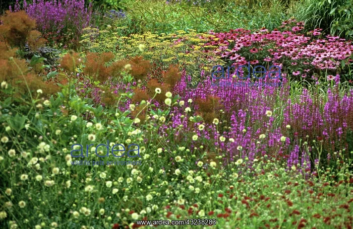 : Pensthorpe gardens : Pensthorpe gardens