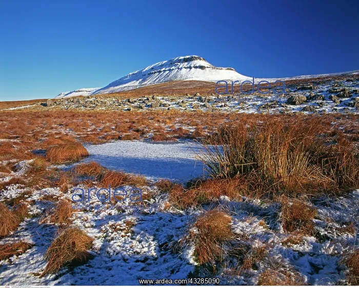 : Penyghent, North Yorkshire, England : Penyghent, North Yorkshire, England