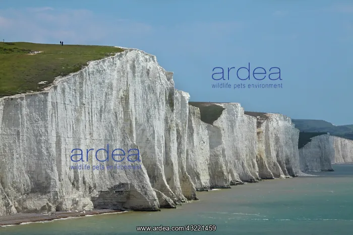  : People atop Seven Sisters Chalk Cliffs