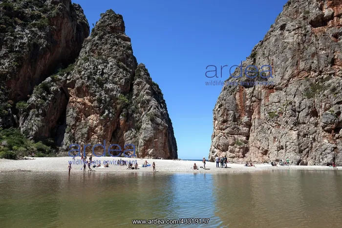 : People on the beach in the gorge Torrent de Pareis : People on the beach in the gorge Torrent de Pareis