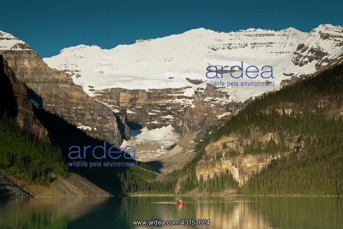 : Two people canoeing on Lake Lousie : Two people canoeing on Lake Lousie