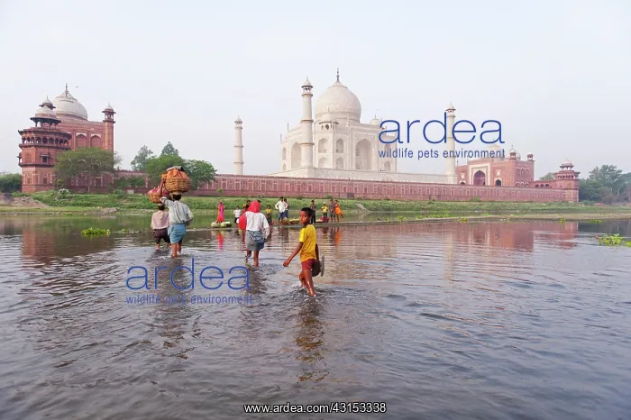 : People crossing river near Thaj Mahal : People crossing river near Thaj Mahal