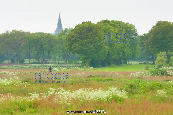 : People cycling through colorfull spring landscape with churc : People cycling through colorfull spring landscape with churc