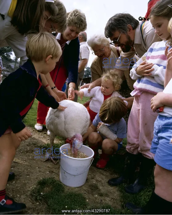 : PEOPLE ON FARM VISIT - with turkey : PEOPLE ON FARM VISIT - with turkey