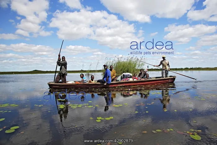 : People - fishing from boat in Bangweuleu Marsh : People - fishing from boat in Bangweuleu Marsh