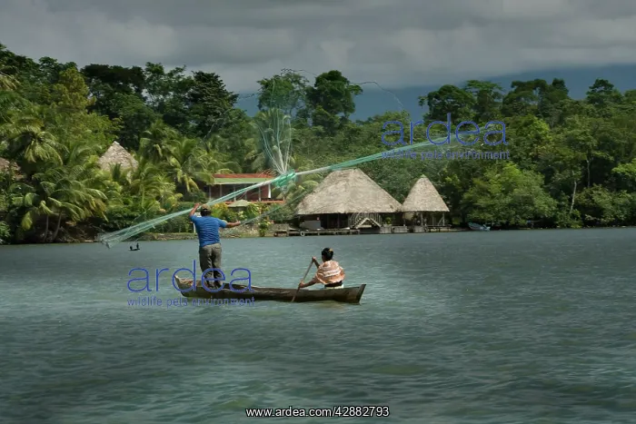 : People fishing - casting nets. Dulce River - Guatemala : People fishing - casting nets. Dulce River - Guatemala