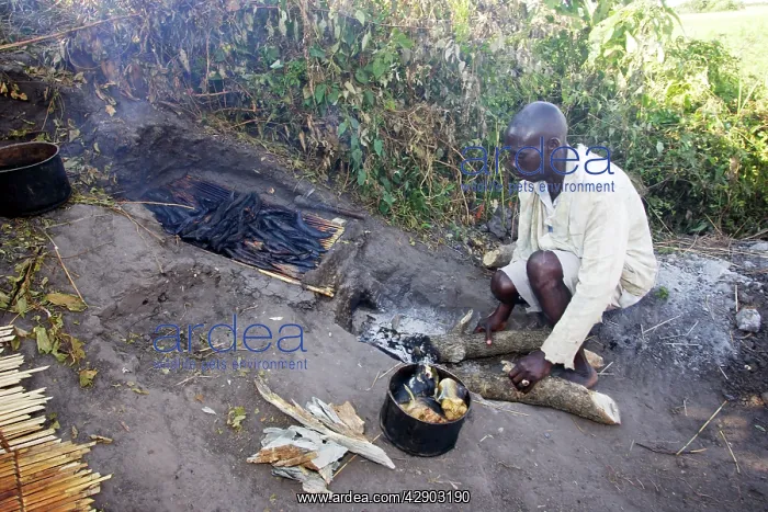 : People - man cooking, with fish being cooked over fire : People - man cooking, with fish being cooked over fire