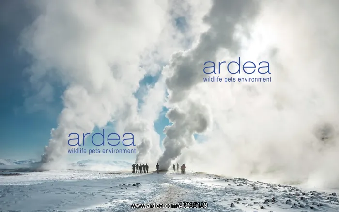: People standing by a fumarole, rising steam, geothermal : People standing by a fumarole, rising steam, geothermal