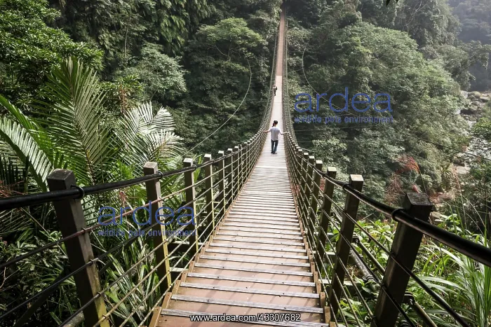 : People on suspension bridge, Sky ladder, Zushan : People on suspension bridge, Sky ladder, Zushan
