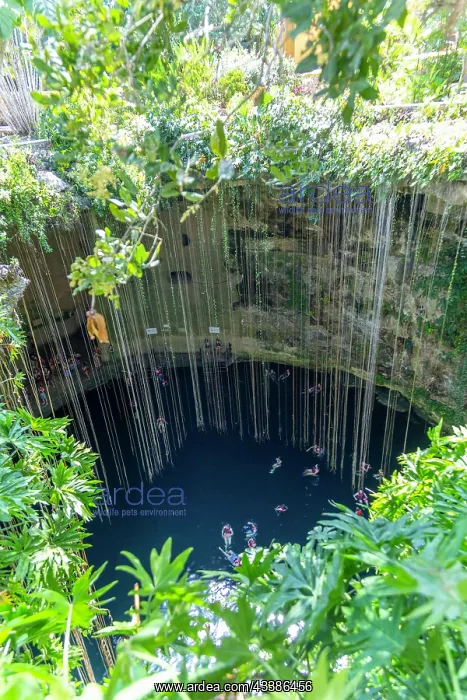  : People swimming in limestone sinkhole pool, Ceno