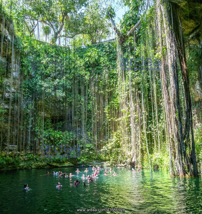  : People swimming in limestone sinkhole pool, Ceno