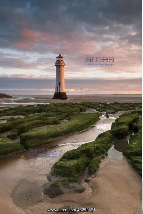 : Perch Rock lighthouse at sunrise, New Brighton : Perch Rock lighthouse at sunrise, New Brighton