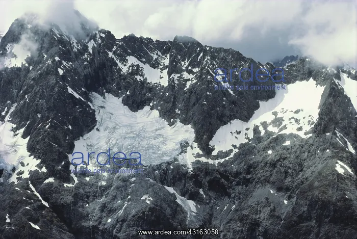 : Perched Glacier : Perched Glacier
