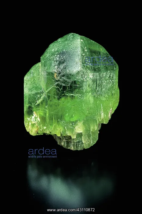 : Peridot (Forsterite). A peridot is a yellow or green form of olivine, : Peridot (Forsterite). A peridot is a yellow or green form of olivine,