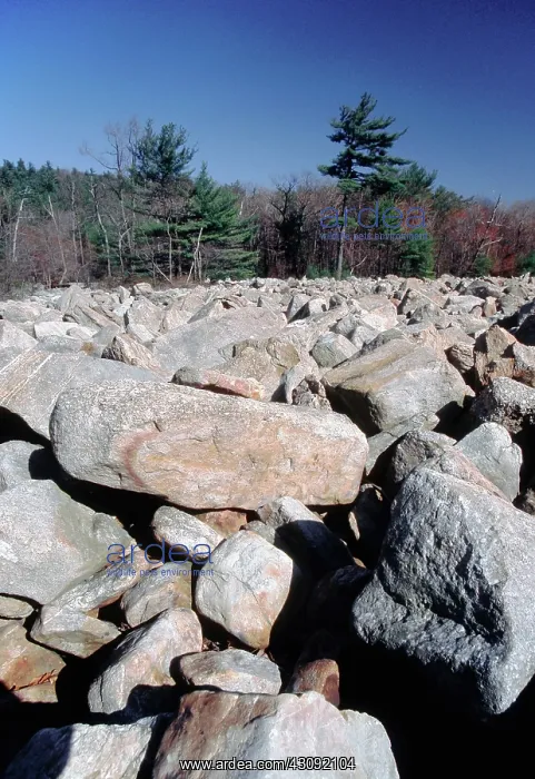 : Periglacial Boulder Field : Periglacial Boulder Field