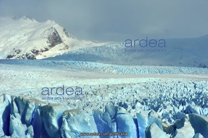 : Perito Moreno Glacier : Perito Moreno Glacier
