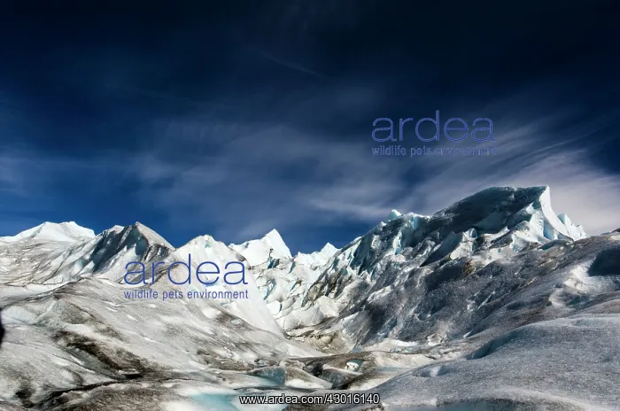  : Perito Moreno Glacier