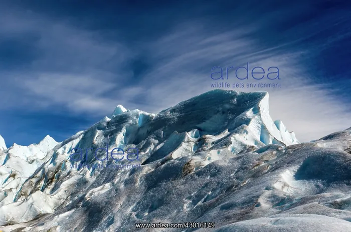  : Perito Moreno Glacier