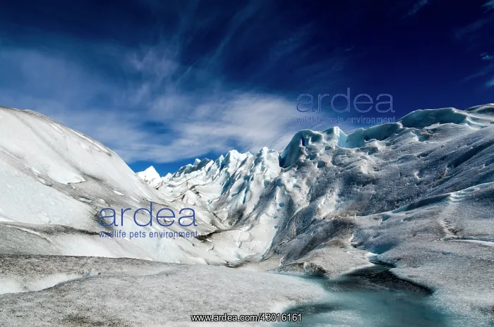  : Perito Moreno Glacier