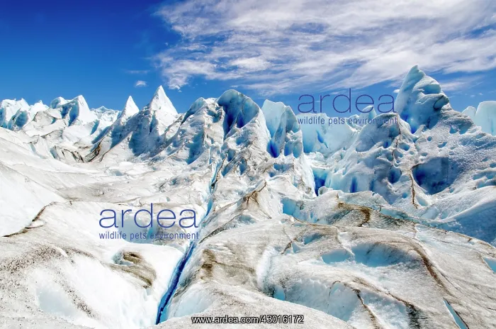  : Perito Moreno Glacier