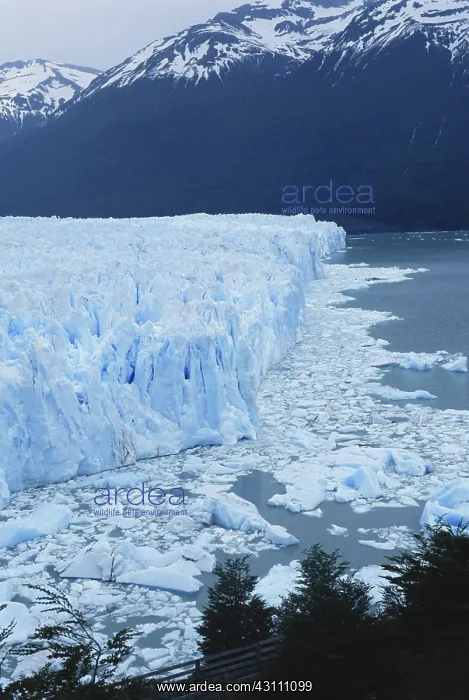 : Perito Moreno Glacier : Perito Moreno Glacier
