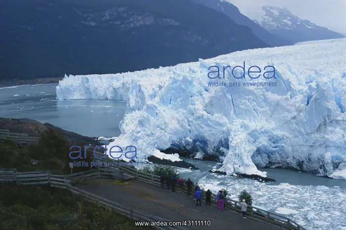 : Perito Moreno Glacier : Perito Moreno Glacier