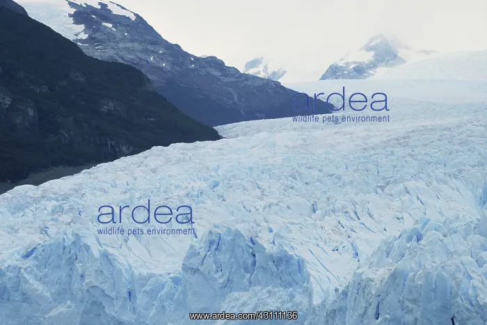 : Perito Moreno Glacier : Perito Moreno Glacier