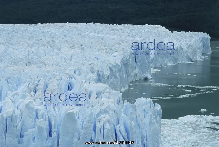 : Perito Moreno Glacier : Perito Moreno Glacier