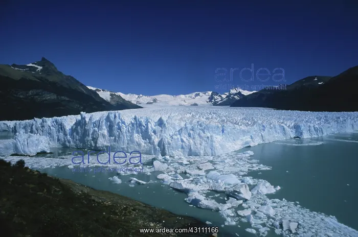 : Perito Moreno Glacier : Perito Moreno Glacier
