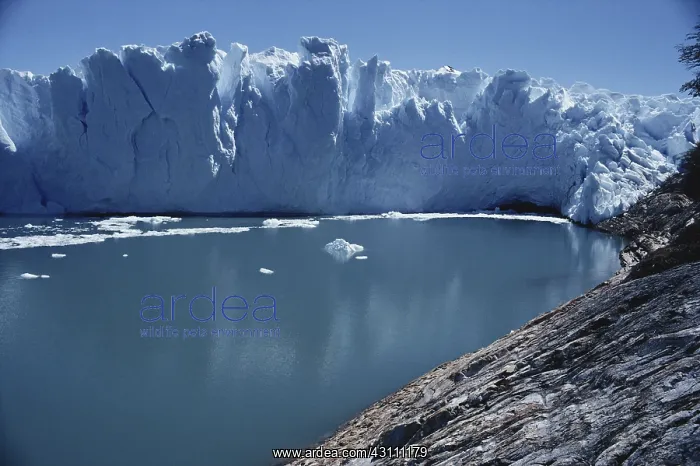 : Perito Moreno Glacier : Perito Moreno Glacier