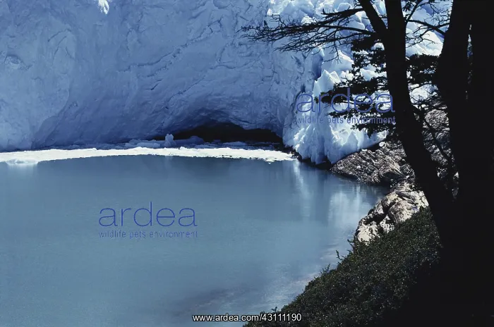 : Perito Moreno Glacier : Perito Moreno Glacier