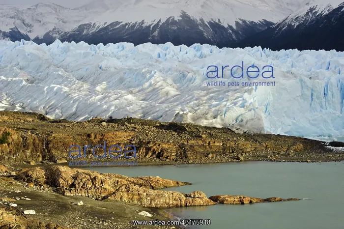 : Perito Moreno Glacier : Perito Moreno Glacier