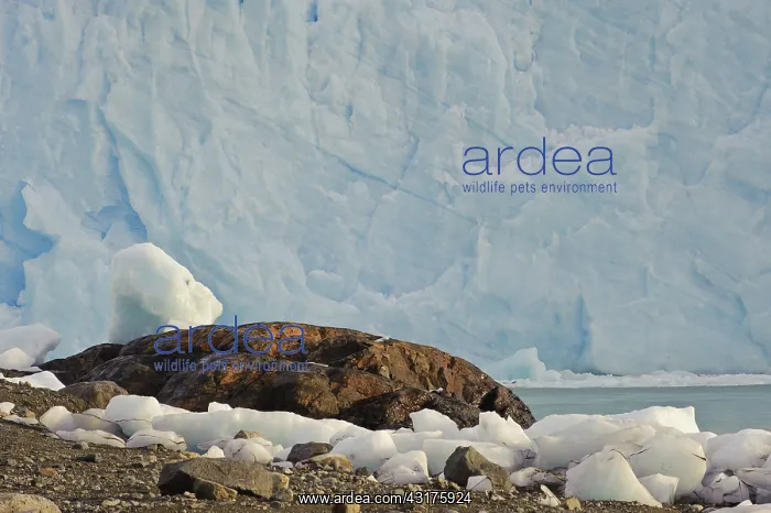 : Perito Moreno Glacier : Perito Moreno Glacier