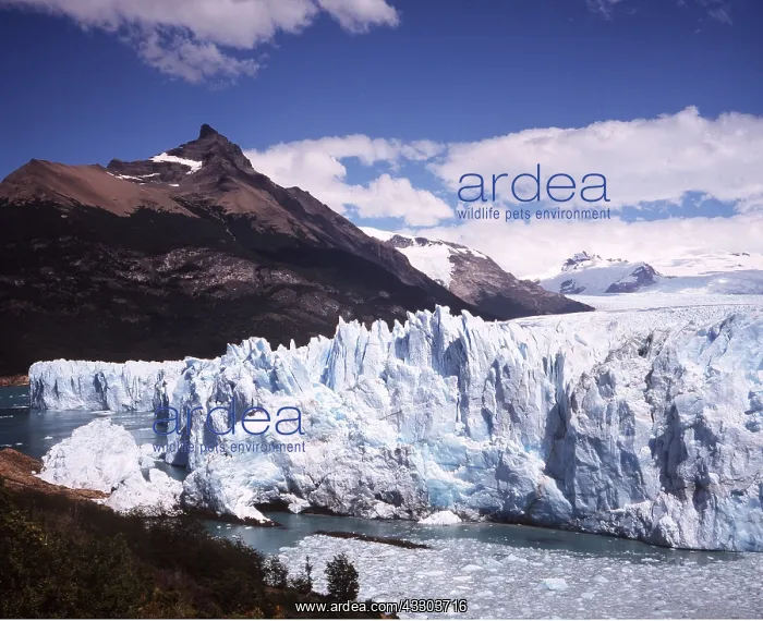  : Perito Moreno GLACIER