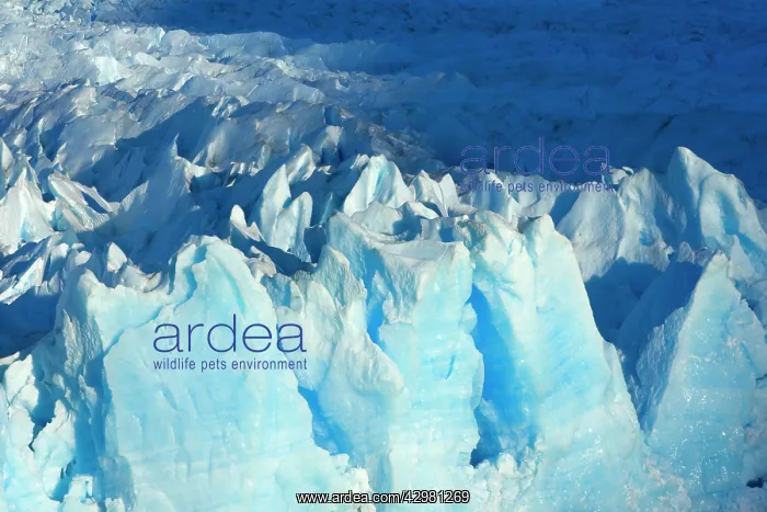 : Perito Moreno Glacier - blue ice at the face of glacier : Perito Moreno Glacier - blue ice at the face of glacier
