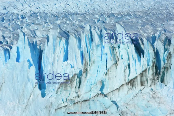 : Perito Moreno Glacier - blue ice at the face of glacier : Perito Moreno Glacier - blue ice at the face of glacier
