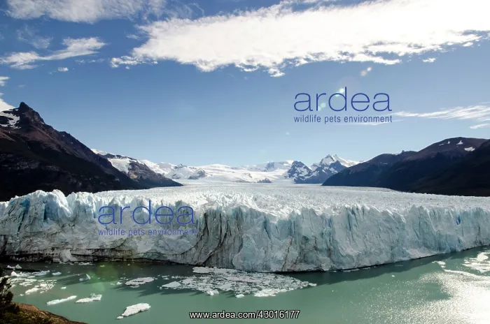  : Perito Moreno Glacier cliffs on water
