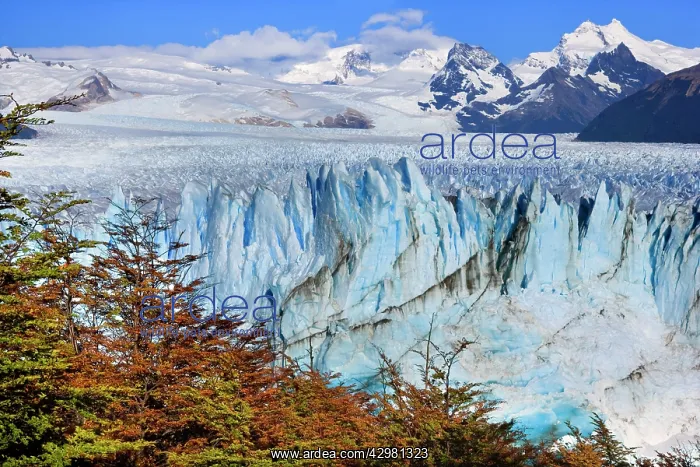  : Perito Moreno Glacier - face of glacier and brightly