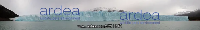 : Perito Moreno Glacier - Glacier National Park : Perito Moreno Glacier - Glacier National Park