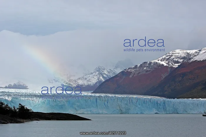 : Perito Moreno Glacier - Glacier National Park : Perito Moreno Glacier - Glacier National Park